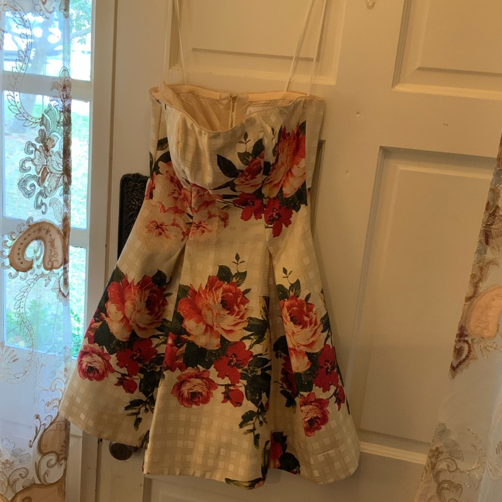 Dress Nicolle Miller Nwot Pageant